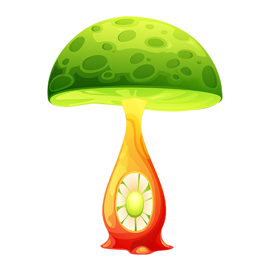 Functional Mushrooms