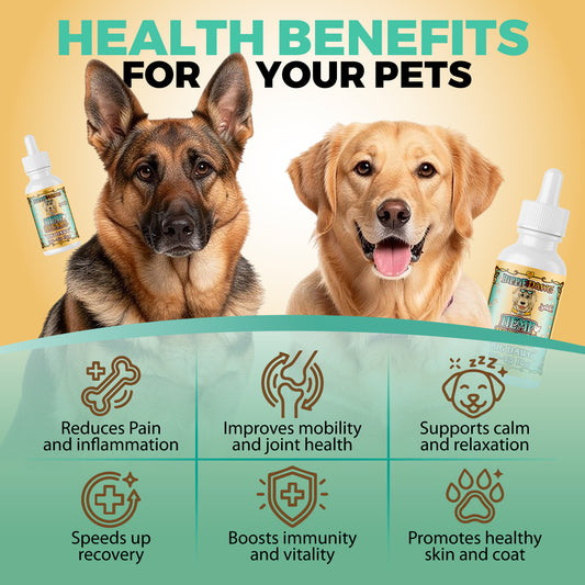 Hemp Oil Pet Tincture "BIG DAWG"