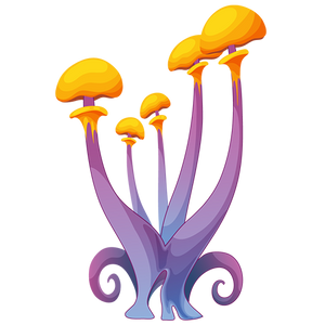 Hippie-chicks-reishi-mushroom-blend