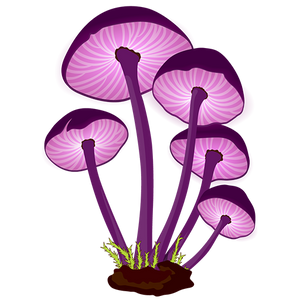 Hippie-chicks-restore-mushroom-blend